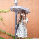 원조함흥냉면본점 이미지