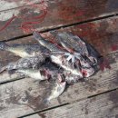 여정수산 이미지