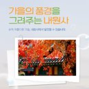 짚북재 | 시니어여행/내원사의 가을/단풍과 계곡이 아름다운 곳