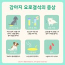 만수동물병원