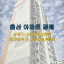 현대패밀리서부2차아파트 | 울산 동구 현대패밀리서부2차아파트, 1회 유찰 후 재도전! 투자 가치는?