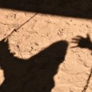 나영이네 이미지