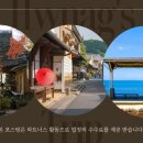 마쓰야마 근교 일일 버스투어 우치코부터 시모나다까지