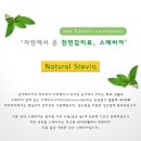 [달콤한 허브식물/스테비아] 천연허브 스테비아로 촉촉한 피부를 가꿔요...