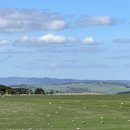 오션투어 | 호주 멜버른 투어 종류 및 그레이트오션로드 투어 후기