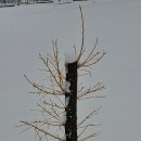 홍길동테마파크 이미지