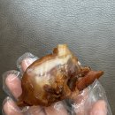 바지락손칼국수 | 대전칼국수, 둔산동맛집, 둔산동칼국수 오모리생바지락손칼국수 후기