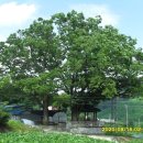 충도보건진료소 이미지