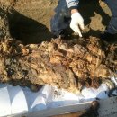 옥천중학교 이미지