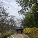 우암골목시장 | 나홀로 대전 1박 2일 여행기[3]