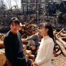 양지엔터테이먼트 이미지