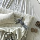 (주)곰소프트 네이버블로그