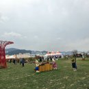 [생태체험] 대저생태공원 - 4월 6일(토) 오전 | 대저생태공원 벚꽃축제와 부산도시농업박람회 한번에 즐겨보자