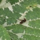 도촌 2농장 이미지