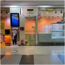 부산고양이분양 브라비펫 펫스테이션점 이미지