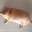 한주(아) 이미지