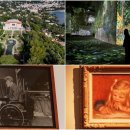 메르샤토 이미지