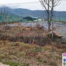 웅촌농장 이미지