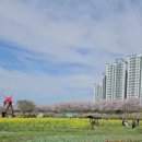 세일부동산공인중개사사무소 이미지