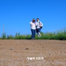 달팽이카페 이미지