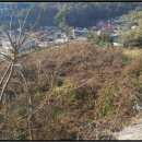 상지석교차로 이미지