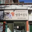 멍뭉이 살롱 이미지