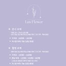 본식부케 럭스플라워 lux flower 오픈이벤트 솔직후기 내돈내산 (짝꿍이벤트 진행중)