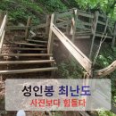 [울릉도 성인봉 등산코스] 나리분지 코스 후기｜사진보다 훨씬 힘든 천국의 계단 실화?