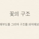 보태니컬아트 이미지