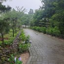 주식회사 제주도여행 이미지