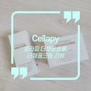 [내돈내산] &#39;떠리몰&#39; X &#39;셀라피&#39; 더채움앰플, 더채움크림