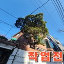 향나무로 | 빌라 마당에 향나무로 인한 불편, 이렇게 해결했어요