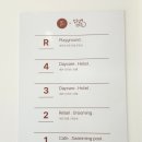 왓숑미용 이미지