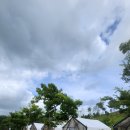 윤미목장 이미지