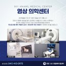 천안24시스카이동물메디컬센터 이미지