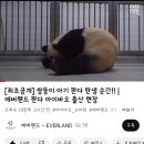 (주)피드에버 티스토리