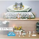 강서중앙장례식장 만족스러웠던 장례 후기