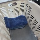 초원세탁 | 고객님 신뢰를 회복시켰습니다 만년동 초원아파트 입주청소 후기