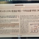 아델리아 이미지