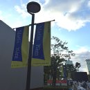 마틴 (matin) | 2025 스타일런 X Matin Kim 10km 완주 후기