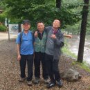 통고산자연휴양림 이미지