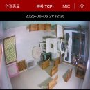 우산쓴고양이 이미지