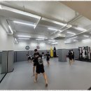 MMA주짓수 이미지