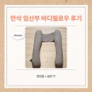 만삭 임산부 바디필로우 후기(feat. 해피테일즈)