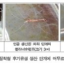 밝은클리너 이미지