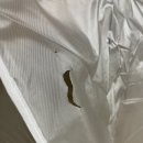 M003 | 캐리어 추천 (캐리어 뭐살지 고민된다면?)
