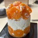 성심탕 | 대전 성심당 케이크뿌띠끄 귤시루 튀소 롯데점