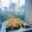 더시티호텔 | 접근성 좋은 더로얄파크 호텔 아이코닉 나고야 시티 뷰 후기