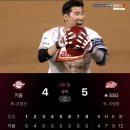새롬코리아 | 길었던 초여름 , 울다 웃다 엉덩이에 뿔난 6월