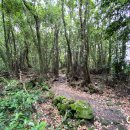 하늘스크린골프＆아카데미 이미지